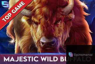 Majestic Wild Buffalo